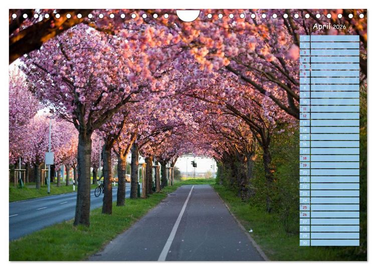 Produktbild: Magdeburg an der Elbe - Der Planer (Wandkalender 2026 DIN A4 quer), CALVENDO Monatskalender