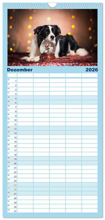 Produktbild: Familienplaner 2026 - H&uuml;tehunde - H&uuml;ter der Herzen mit 5 Spalten (Wandkalender, 21 x 45 cm) CALVENDO