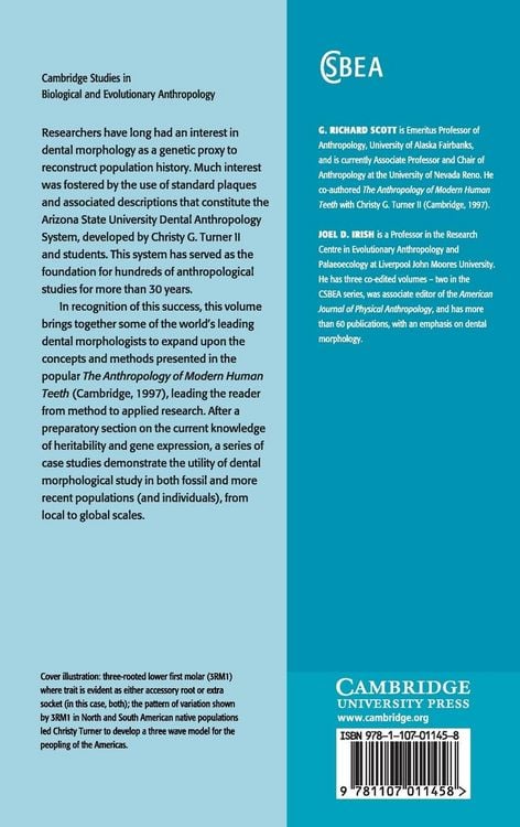Produktbild: Anthropological Perspectives on Tooth Morphology