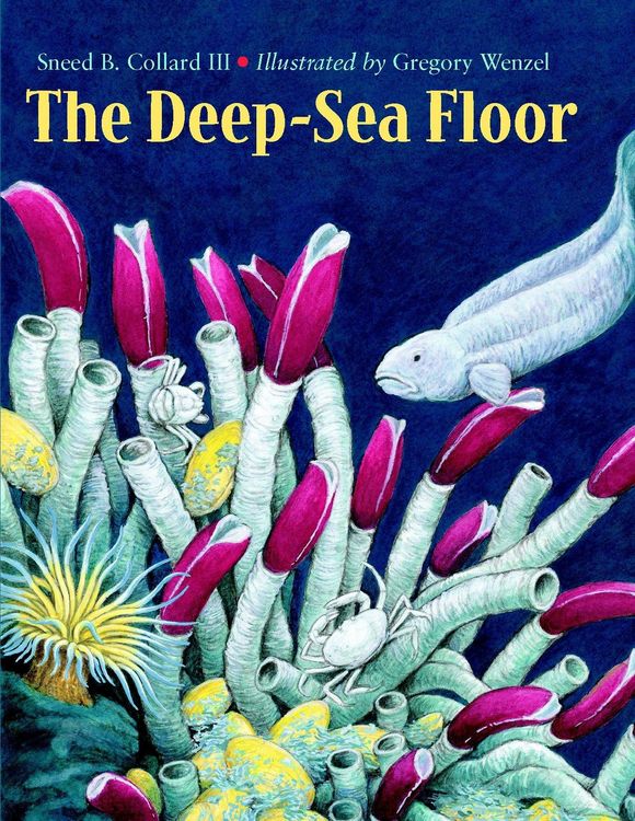 Produktbild: The Deep-Sea Floor