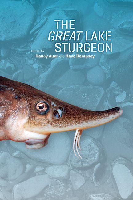 Produktbild: The Great Lake Sturgeon