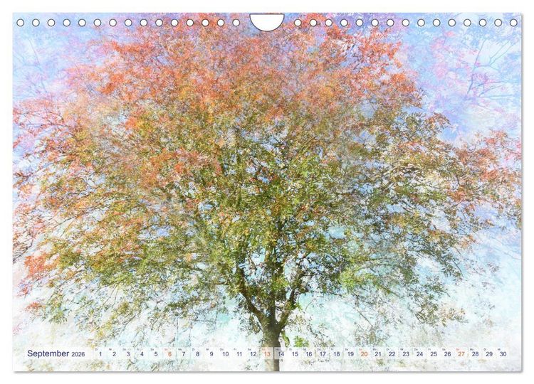 Produktbild: Vielfalt der B&auml;ume - variety of trees (Wandkalender 2026 DIN A4 quer), CALVENDO Monatskalender