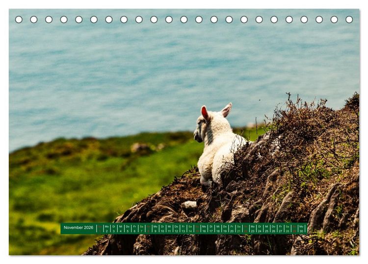 Produktbild: Wir sehen uns in Irland - Ring of Beara und Ring of Kerry (Tischkalender 2026 DIN A5 quer), CALVENDO Monatskalender