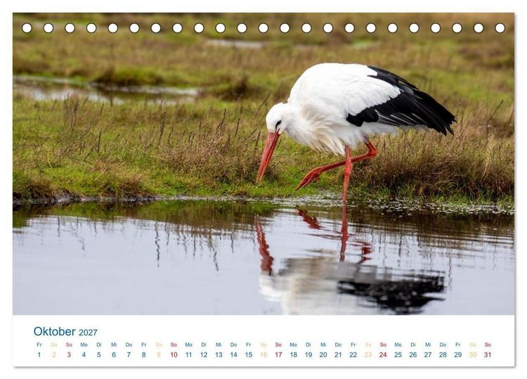 Produktbild: Sankt Peter-Ording - Str&auml;nde, D&uuml;nen, Weite (Tischkalender 2027 DIN A5 quer), CALVENDO Monatskalender