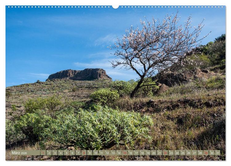 Produktbild: La Gomera - Vielseitige Insel (hochwertiger Premium Wandkalender 2026 DIN A2 quer), Kunstdruck in Hochglanz