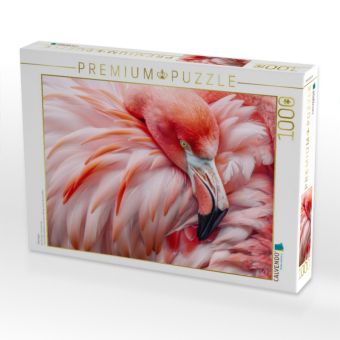 Produktbild: CALVENDO Puzzle Flamingos | 1000 Teile Lege-Gr&ouml;&szlig;e 64x48cm Foto-Puzzle f&uuml;r gl&uuml;ckliche Stunden