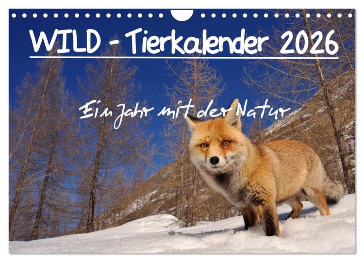 Produktbild: WILD - Tierkalender 2026 (Wandkalender 2026 DIN A4 quer), CALVENDO Monatskalender