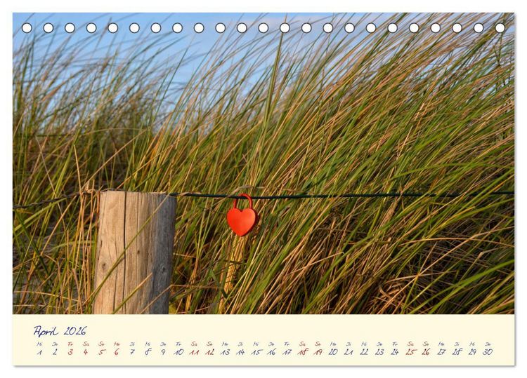 Produktbild: OSTSEEGL&Uuml;CK - Gl&uuml;cksmomente auf dem Dar&szlig; (Tischkalender 2026 DIN A5 quer), CALVENDO Monatskalender