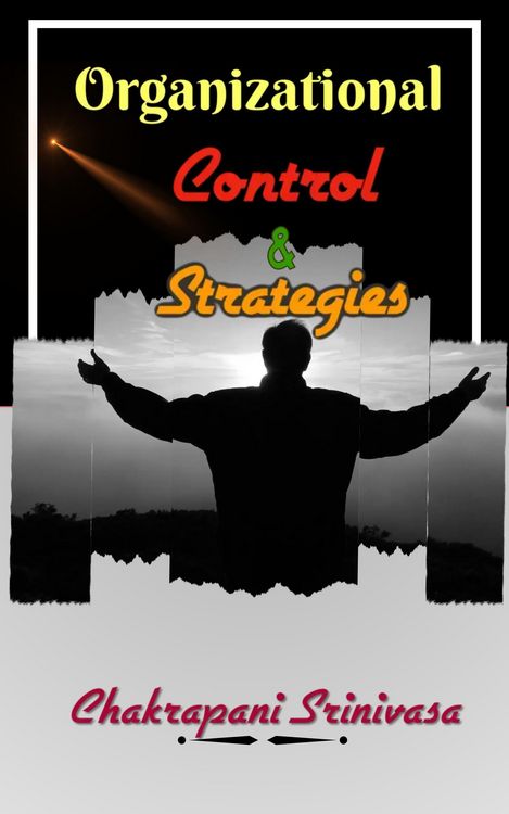 Produktbild: Organizational Control & Strategies