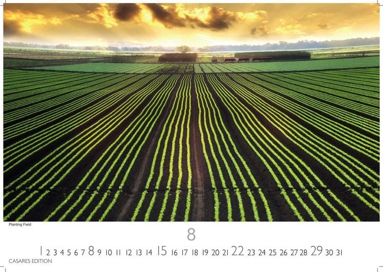 Produktbild: Florida Kalender 2027 &ndash; Wandkalender | Fotokalender Nordamerika 24x35cm &ndash; Sonne, Palmen & Str&auml;nde: Farbenfrohe Motive aus dem Sunshine State f&uuml;r deine Wanddeko