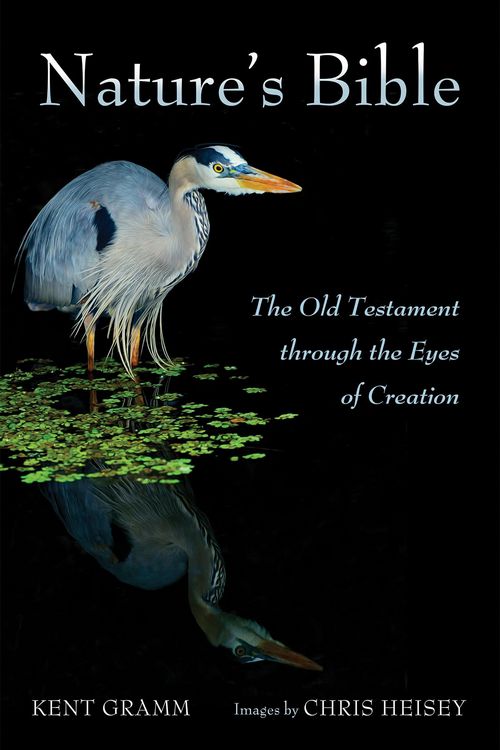 Produktbild: Nature's Bible