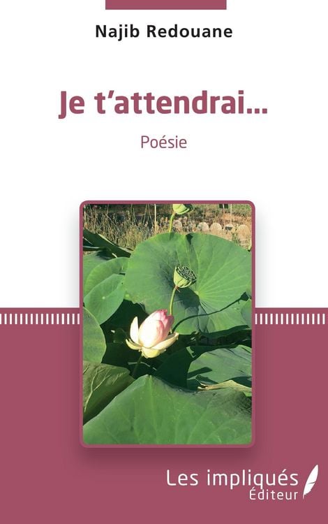 Produktbild: Je t'attendrai...