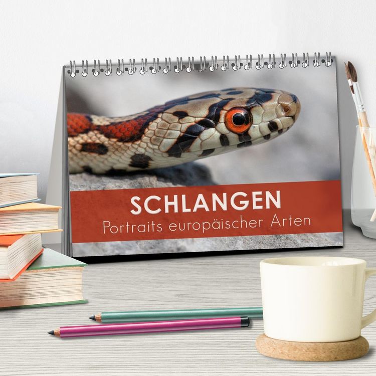 Produktbild: Schlangen - Portraits europ&auml;ischer Arten (Tischkalender 2026 DIN A5 quer), CALVENDO Monatskalender