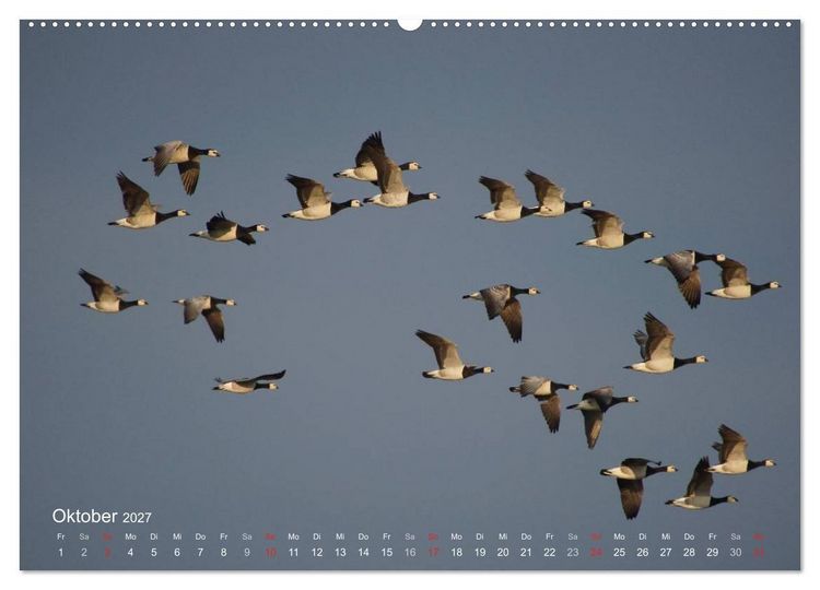 Produktbild: Anblicke und Ausblicke auf Fischland Dar&szlig; (hochwertiger Premium Wandkalender 2027 DIN A2 quer), Kunstdruck in Hochglanz