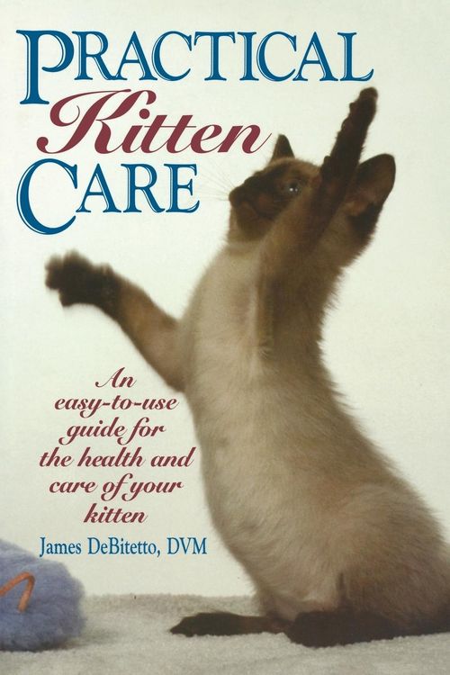 Produktbild: Practical Kitten Care