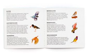 Produktbild: Finde den Vogel