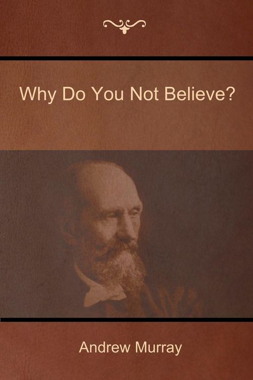 Produktbild: Why Do You Not Believe?