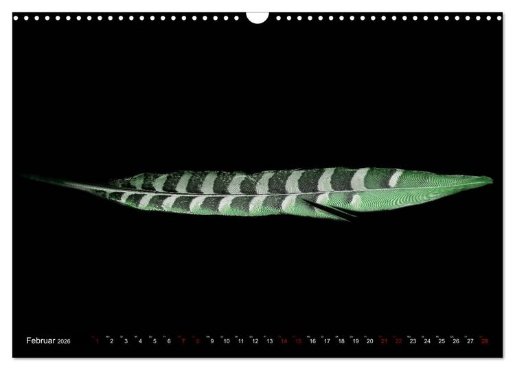 Produktbild: Federleichte Momente (Wandkalender 2026 DIN A3 quer), CALVENDO Monatskalender