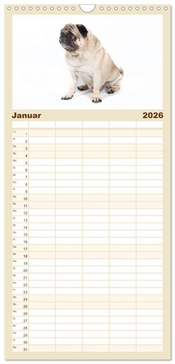 Produktbild: Familienplaner 2026 - Mops - unwiderstehlich und charmant mit 5 Spalten (Wandkalender, 21 x 45 cm) CALVENDO