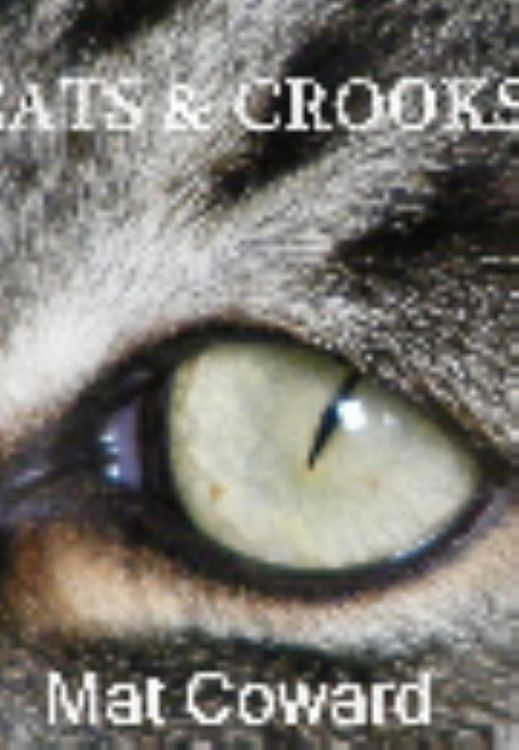 Produktbild: Cats & Crooks