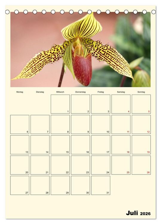 Produktbild: Orchideentr&auml;ume (Tischkalender 2026 DIN A5 hoch), CALVENDO Monatskalender