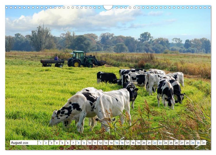 Produktbild: Land Brandenburg - Natur und Erholung im m&auml;rkischen Land (Wandkalender 2026 DIN A3 quer), CALVENDO Monatskalender