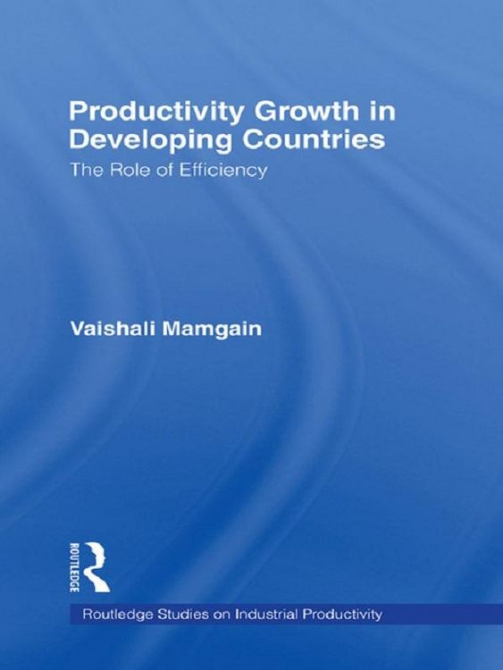 Produktbild: Productivity Growth in Developing Countries