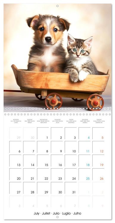 Produktbild: Mignon duo (Calendrier mural carr&eacute; 2026 30x30 cm) Calendrier double avec une page pour vos prises de notes