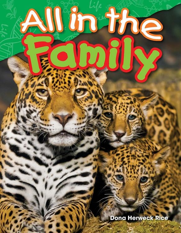 Produktbild: All in the Family