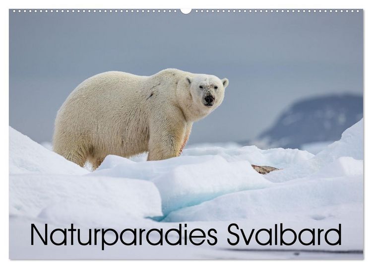 Produktbild: Naturparadies Svalbard (Wandkalender 2026 DIN A2 quer), CALVENDO Monatskalender