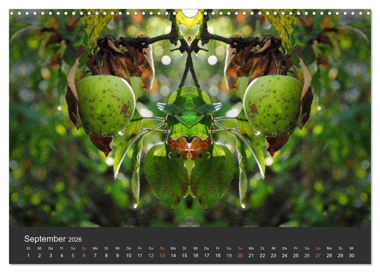 Produktbild: Spiegelwelten - Im Reich der Naturwesen (Wandkalender 2026 DIN A3 quer), CALVENDO Monatskalender