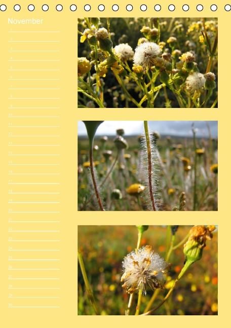 Produktbild: Zauberwelt der Blumen - Eiskristalle & Wasserperlen / Geburtstagskalender (Tischkalender immerw&auml;hrend DIN A5 hoch)