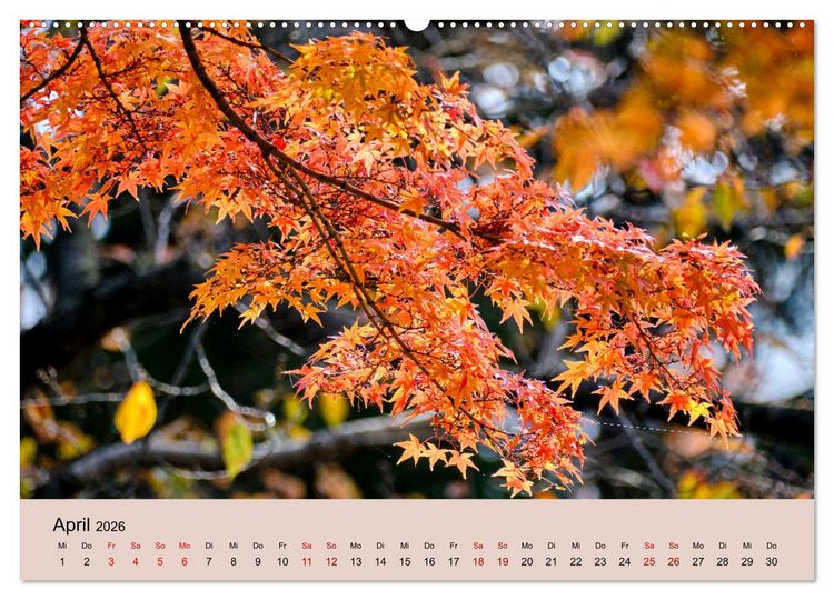 Produktbild: Japan im Herbst (hochwertiger Premium Wandkalender 2026 DIN A2 quer), Kunstdruck in Hochglanz