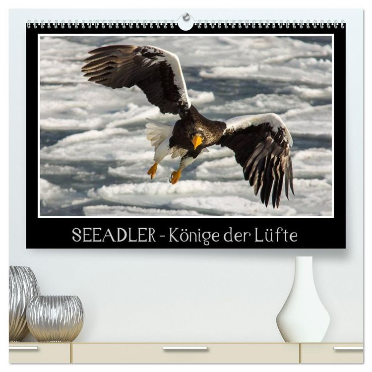 Produktbild: Seeadler - K&ouml;nige der L&uuml;fte (hochwertiger Premium Wandkalender 2026 DIN A2 quer), Kunstdruck in Hochglanz