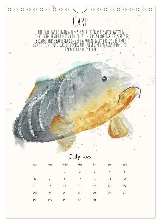 Produktbild: Symbiosis, the story of collaborations in nature (Wall Calendar 2026 DIN A4 portrait), CALVENDO 12 Month Wall Calendar