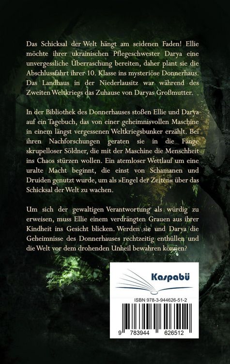 Produktbild: Engel der Zeiten - Eine schicksalhafte Reise (Jugendbuch)