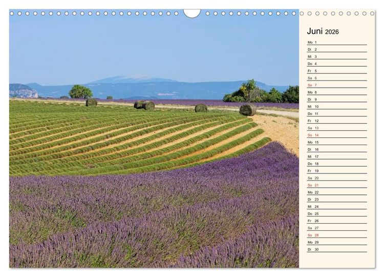 Produktbild: Lavendel (Wandkalender 2026 DIN A3 quer), CALVENDO Monatskalender