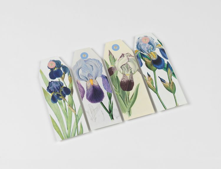 Produktbild: Flowers