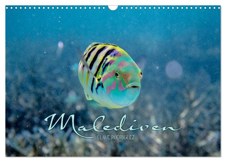 Produktbild: Unterwasserwelt der Malediven II (Wandkalender 2026 DIN A3 quer), CALVENDO Monatskalender