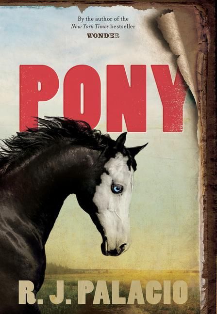 Produktbild: Pony