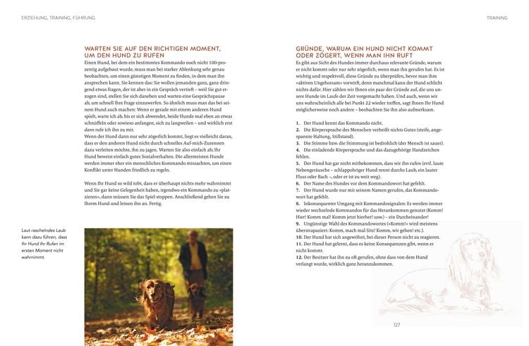 Produktbild: Leinen los! Freilauftraining f&uuml;r den Hund