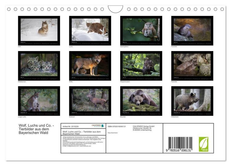 Produktbild: Wolf, Luchs und Co. - Tierbilder aus dem Bayerischen Wald (Wandkalender 2026 DIN A4 quer), CALVENDO Monatskalender