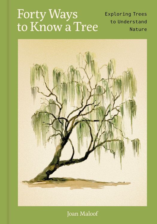 Produktbild: Forty Ways to Know a Tree