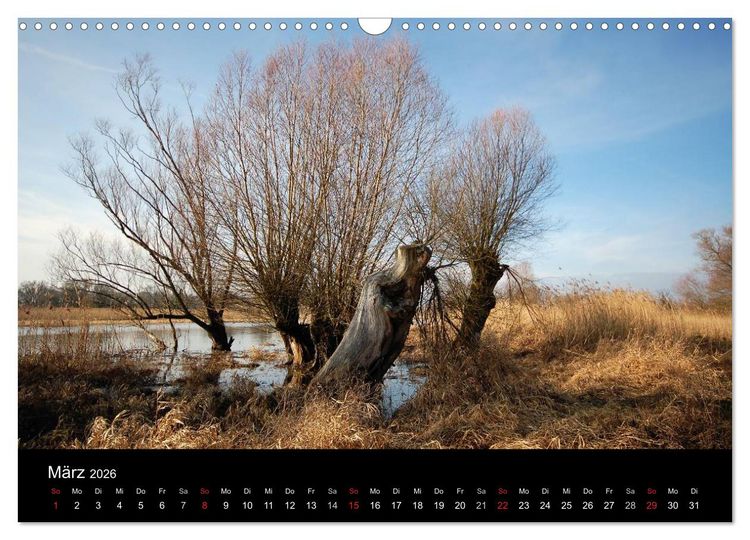 Produktbild: Vier Jahreszeiten im Havelland (Wandkalender 2026 DIN A3 quer), CALVENDO Monatskalender
