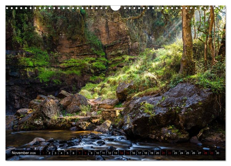 Produktbild: Waldwasser (Wandkalender 2026 DIN A3 quer), CALVENDO Monatskalender
