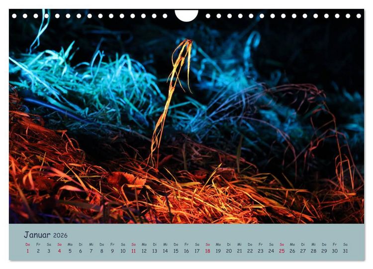 Produktbild: Leuchtfarben (Wandkalender 2026 DIN A4 quer), CALVENDO Monatskalender
