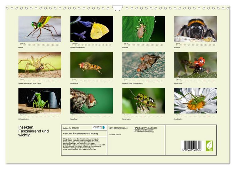 Produktbild: Insekten. Faszinierend und wichtig (Wandkalender 2026 DIN A3 quer), CALVENDO Monatskalender