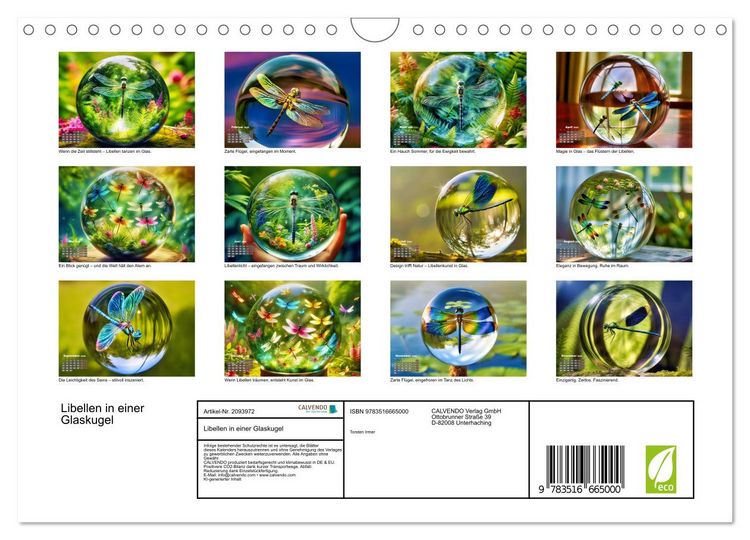 Produktbild: Libellen in einer Glaskugel (Wandkalender 2026 DIN A4 quer), CALVENDO Monatskalender