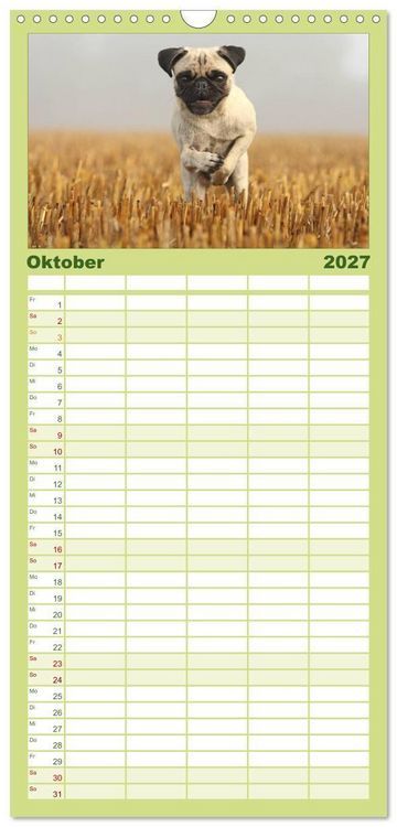 Produktbild: Familienplaner 2027 - Der MOPS-Kalender mit 5 Spalten (Wandkalender, 21 x 45 cm) CALVENDO