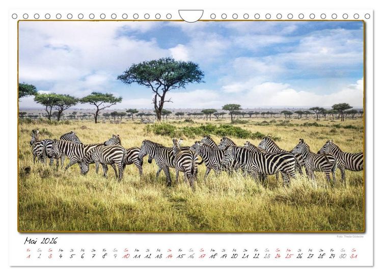 Produktbild: Abenteuer Masai Mara (Wandkalender 2026 DIN A4 quer), CALVENDO Monatskalender